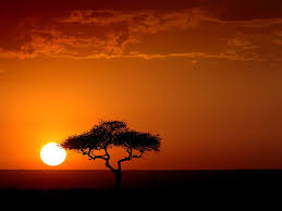 Kenya Sunset.jpg