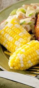 corn2-133x300-133x300.png