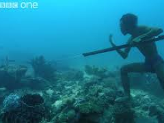 [image for Culture Spotlight Bajau.png]