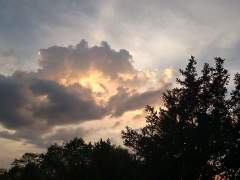 [image for World Spotlight FB_IMG_1464526285234.jpg]