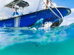 [image for Planet Spotlight 4ocean.jpg]