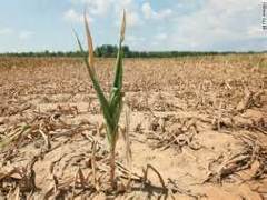 [image for World Spotlight drought photo in Malawi.jpg]